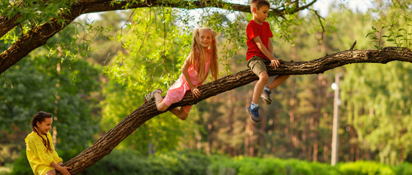 Kinder klettern auf hohen Baum