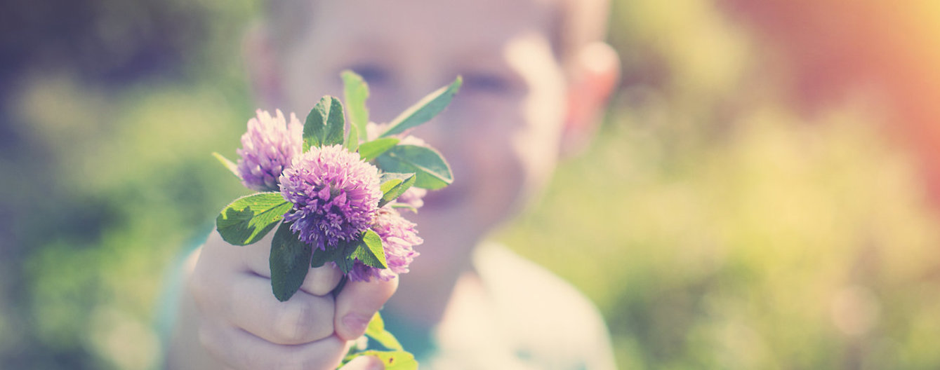 kleiner Bube hält Blumen
