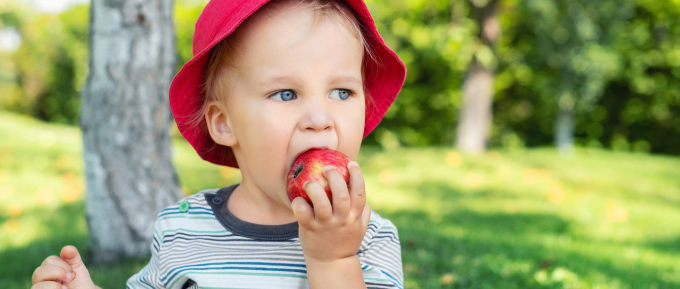 Kleiner Junge isst Apfel