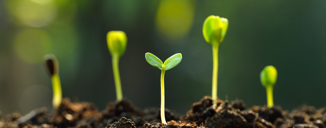 istock/amenic181