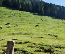 Sommer Bucket List: 25 Familienaktivitäten für den Sommer - meinefamilie.at  Sommer