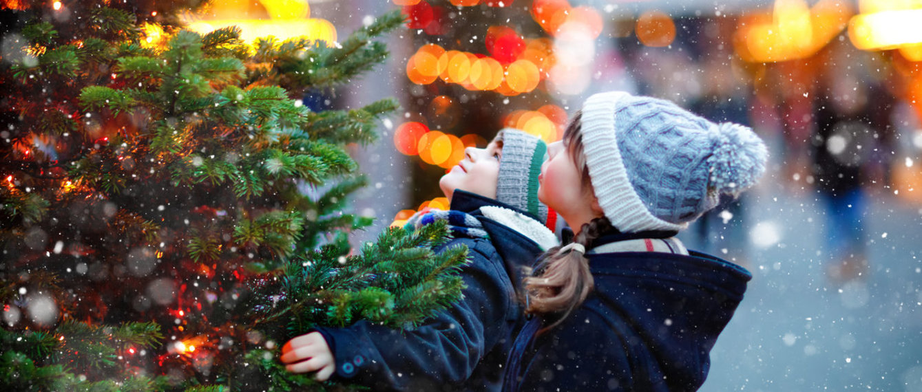 Kinder schauen sich einen Weihnachtsbaum an