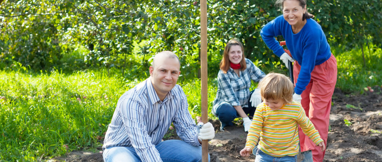 Familie beim Erdäpfel ernten