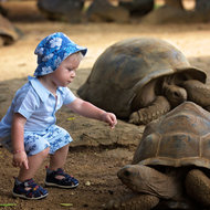 Haustiere: Alternativen, wenn die Eltern ‚Nein‘ sagen - Schildkröte - meinefamilie.at  Schildkröte