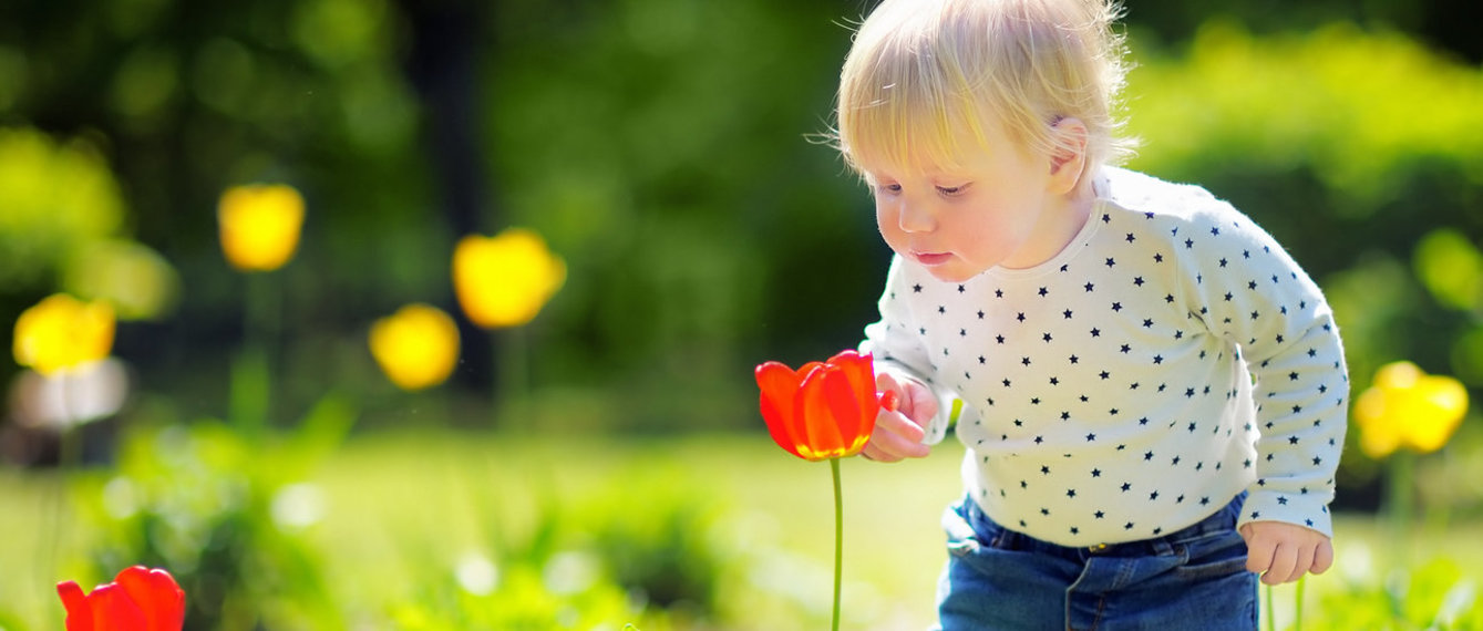 Kleines Kind riecht an Blume