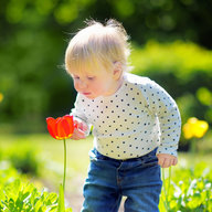 Kleines Kind riecht an Blume