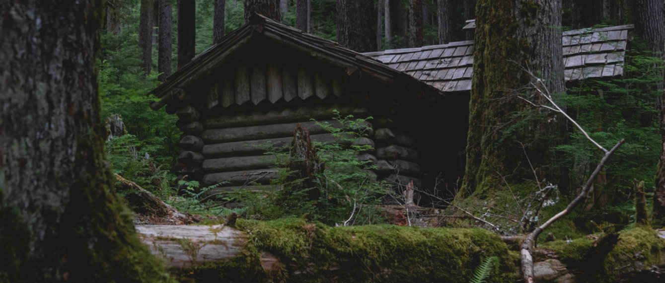 Holzhütte im Wald