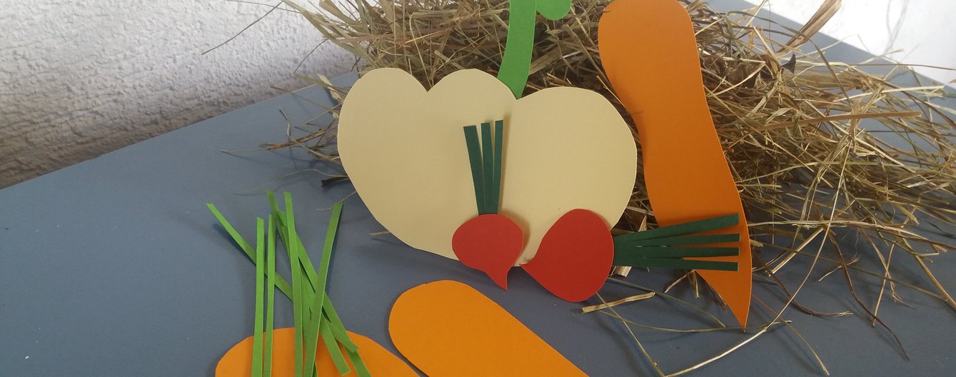 DIY: Mini-Gemüsebeet aus Papier - meinefamilie.at DIY Gemüsebeet