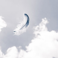 Feder die in der Luft schwebt