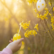 istock/yul38885yul38885