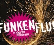 Bücher für Jugendliche zur Firmung - meinefamilie.at  Buch: Funkenflug