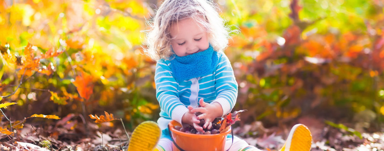 iStock/FAmVeld