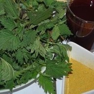 Brennessel, Holundersaft und Kurkuma