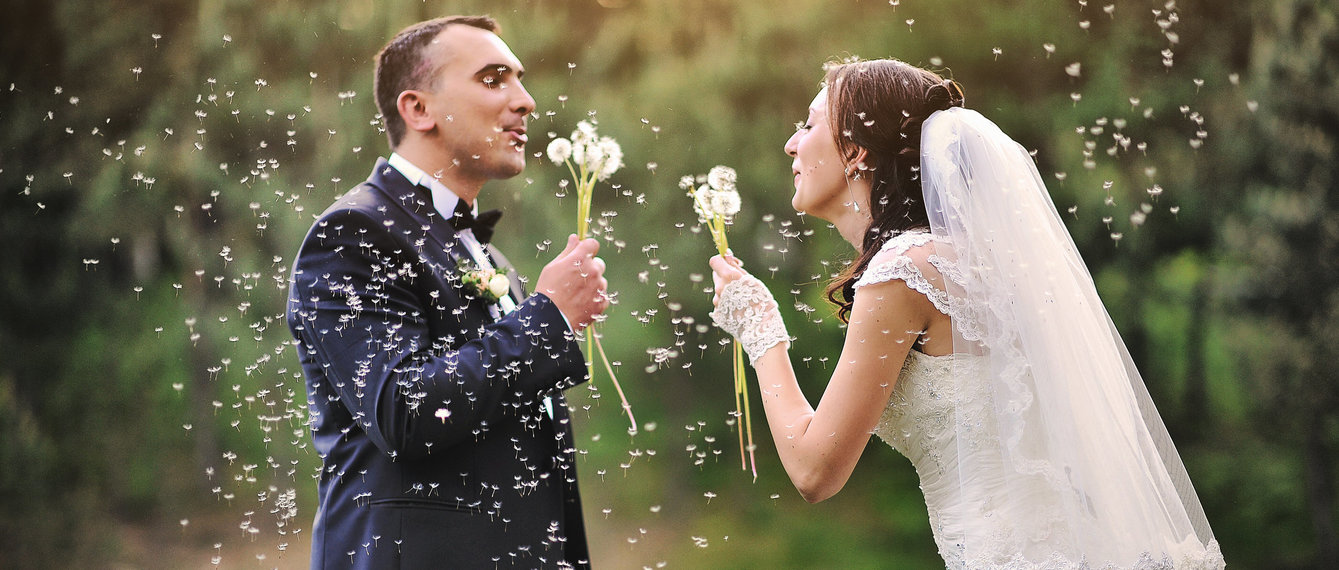 Hochzeitspaar pustet Löwenzahnblüten