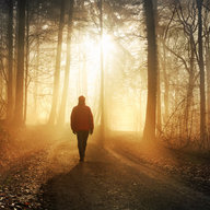 Person geht in Herbstwald gegen das Licht