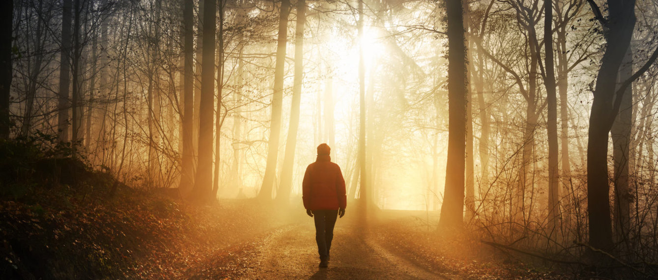 Person geht in Herbstwald gegen das Licht
