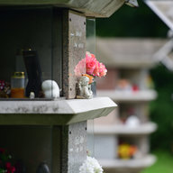 Urnenfriedhof mit Blumen