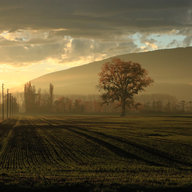 weites Feld im Sonnenuntergang Winter