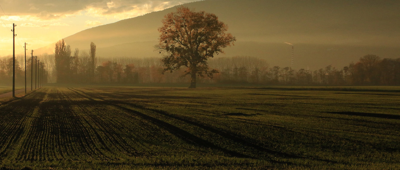 weites Feld im Sonnenuntergang Winter