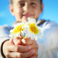 Kind schenkt Gänseblummen 