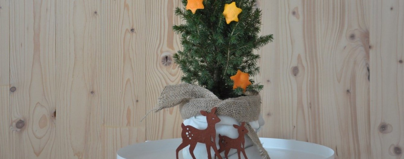 Geborgenheit im Advent © Marie Therese Schmiedleitner kleiner Christbaum