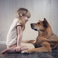 Kleines blondes Mädchen sitzt einem großen Hund gegenüber