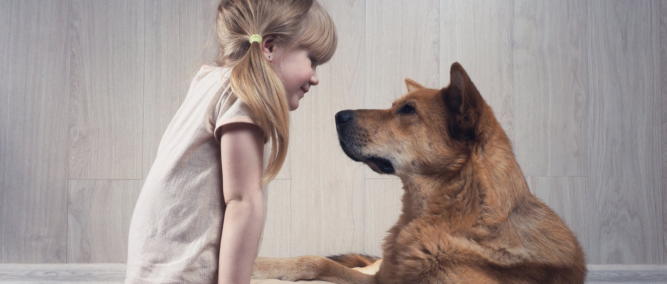 Kleines blondes Mädchen sitzt einem großen Hund gegenüber