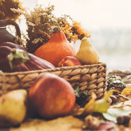 Kürbisse in einem Korb