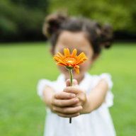 Kleinkind hält Blume in der Hand
