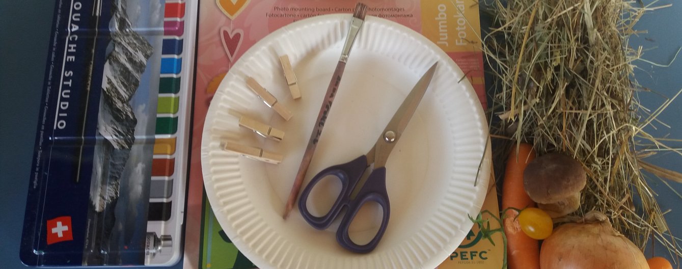 DIY: Mini-Gemüsebeet aus Papier - meinefamilie.at DIY Gemüsebeet Materialien