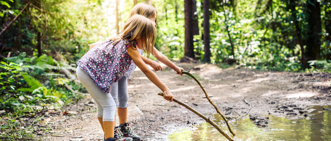 Kinder spielen im Wald