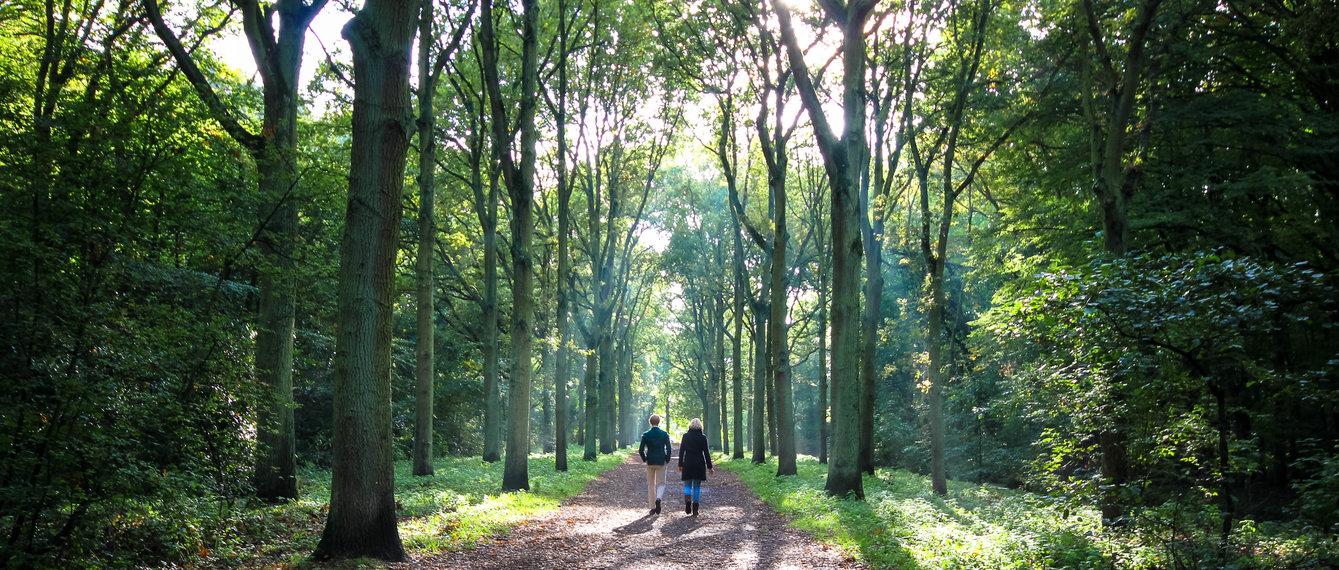 Paar spaziert durch dichten grünen Wald